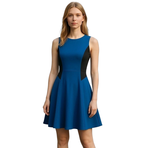 Rag & Bone Adeline Blue Black Colorblock Fit & Flare Sleeveless Mini Dress 8 NWT - Picture 1 of 8